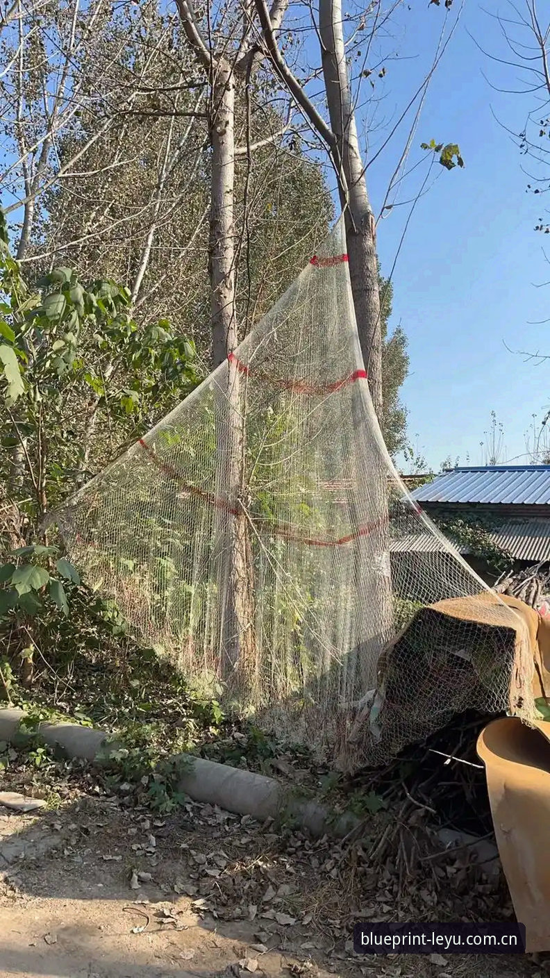 三天打鱼两天晒网？99%的用户都踩过的K8X CN赛事数据坑